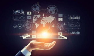 流量爭奪戰 現狀、策略與“流量貝貝”的啟示